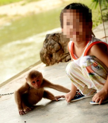 Khỉ bị nhốt làm đồ chơi cho trẻ con ở Nha Trang, Khánh Hòa